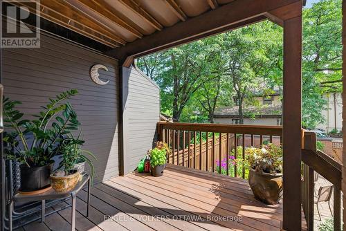 202 Holmwood Avenue, Ottawa, ON - Outdoor With Deck Patio Veranda With Exterior