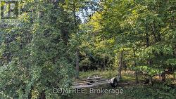 4859 OPEONGO ROAD Ottawa, ON K0A 3M0