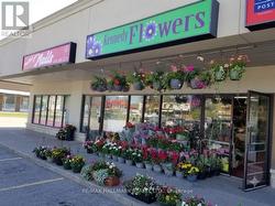 2373 KINGSTON ROAD Toronto, ON M1N 1V1