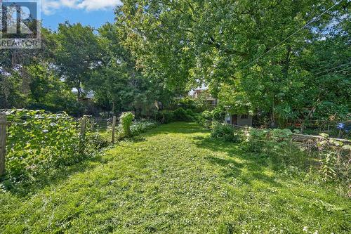 62 Erie Avenue, Hamilton, ON - Outdoor