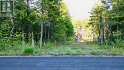 8 DEVILS GLEN Northern Bruce Peninsula, ON N0H 1X0