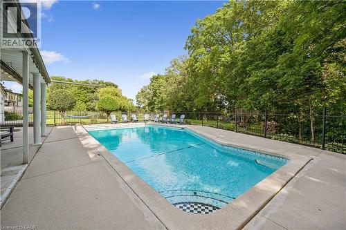 Rectangular in-ground swimming pool with checkerboard tile detailing - 267 Abraham Street, Cambridge, ON - Outdoor With In Ground Pool