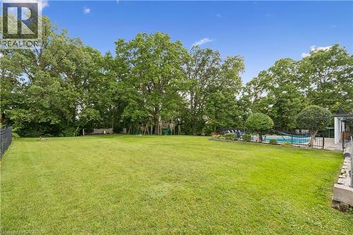 Expansive lawn area with a fenced-in swimming pool and mature trees - 267 Abraham Street, Cambridge, ON - Outdoor