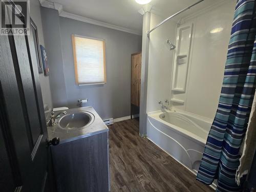 3 Rosedale Avenue, Grand Falls-Windsor, NL - Indoor Photo Showing Bathroom