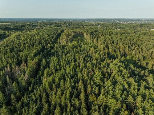 Vue d'ensemble - 372 40E Avenue N., Saint-Georges, QC 