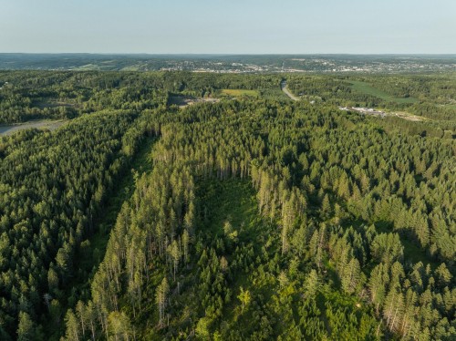 Vue d'ensemble - 372 40E Avenue N., Saint-Georges, QC 