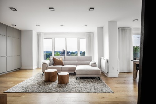 Salon - 701 Rue De La Commune E., Montréal (Ville-Marie), QC - Indoor Photo Showing Living Room
