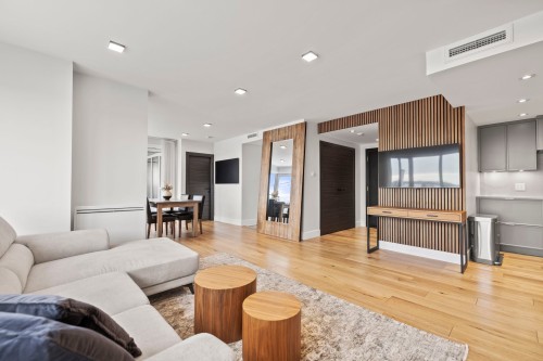 Salon - 701 Rue De La Commune E., Montréal (Ville-Marie), QC - Indoor Photo Showing Living Room