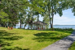 Garden - 