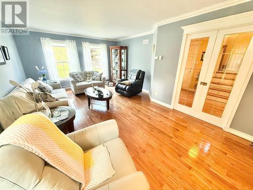 304 Grenfell Heights, Grand Falls-Windsor, NL - Indoor Photo Showing Living Room