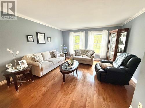 304 Grenfell Heights, Grand Falls-Windsor, NL - Indoor Photo Showing Living Room