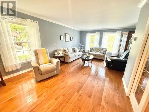 304 Grenfell Heights, Grand Falls-Windsor, NL - Indoor Photo Showing Living Room