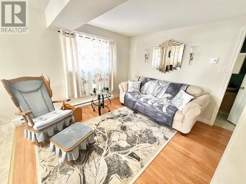 304 Grenfell Heights, Grand Falls-Windsor, NL - Indoor Photo Showing Living Room