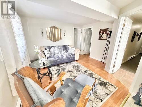 304 Grenfell Heights, Grand Falls-Windsor, NL - Indoor Photo Showing Living Room