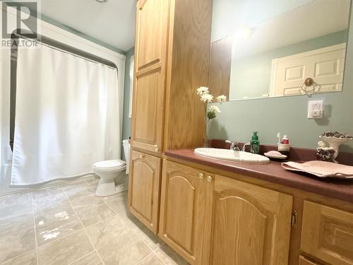 304 Grenfell Heights, Grand Falls-Windsor, NL - Indoor Photo Showing Bathroom