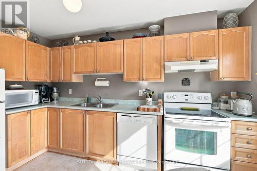 22 Manhattan Crescent, Ottawa, ON - Indoor Photo Showing Kitchen With Double Sink