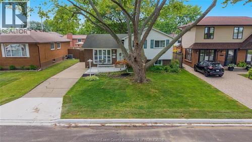 381 Carling, Windsor, ON - Outdoor
