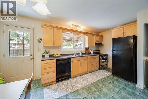 381 Carling, Windsor, ON - Indoor Photo Showing Kitchen With Double Sink