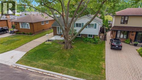 381 Carling, Windsor, ON - Outdoor