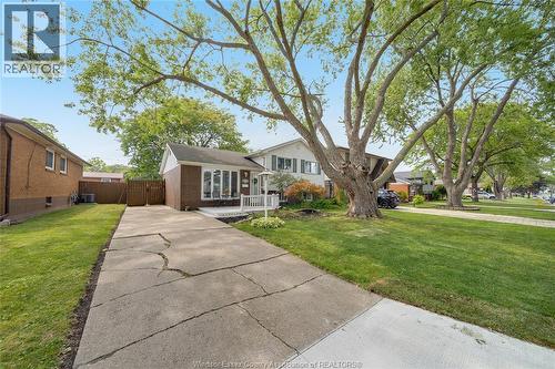 381 Carling, Windsor, ON - Outdoor