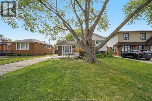 381 Carling, Windsor, ON - Outdoor