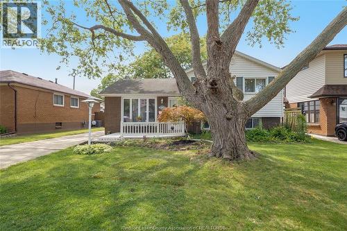 381 Carling, Windsor, ON - Outdoor