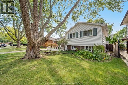 381 Carling, Windsor, ON - Outdoor