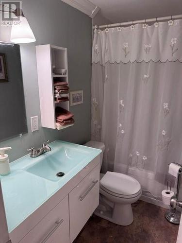29 Hawker Crescent, Gander, NL - Indoor Photo Showing Bathroom