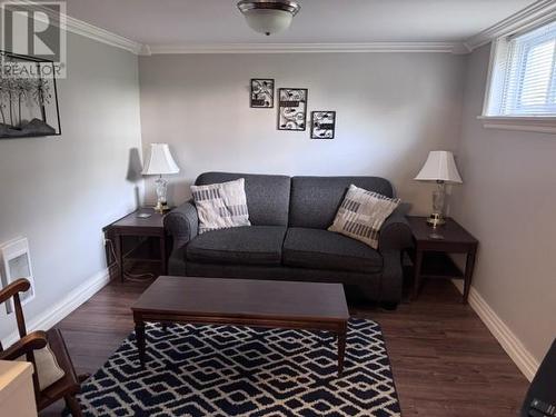 29 Hawker Crescent, Gander, NL - Indoor Photo Showing Living Room