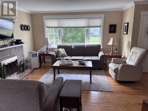 29 Hawker Crescent, Gander, NL - Indoor Photo Showing Living Room With Fireplace