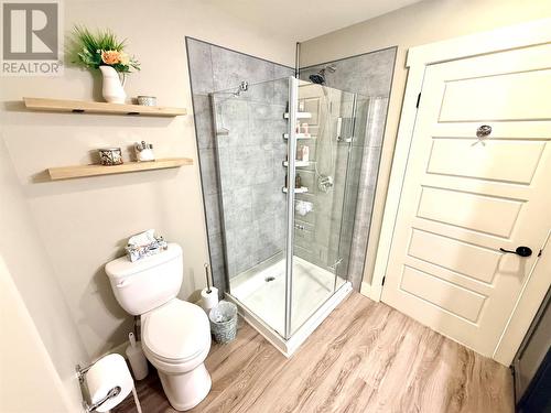 18 Evergreen Crescent, Springdale, NL - Indoor Photo Showing Bathroom
