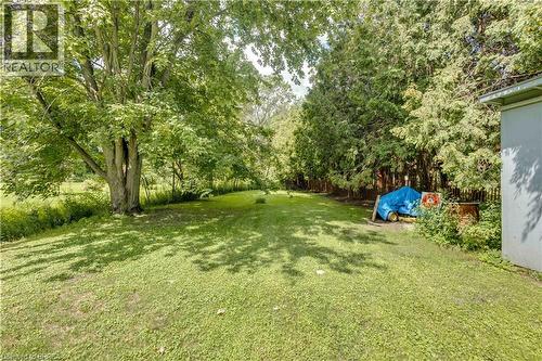 Expansive green space featuring a mature deciduous tree, dense evergreen perimeter, and a detached structure - 995 Mcdowell Road E, Simcoe, ON - Outdoor