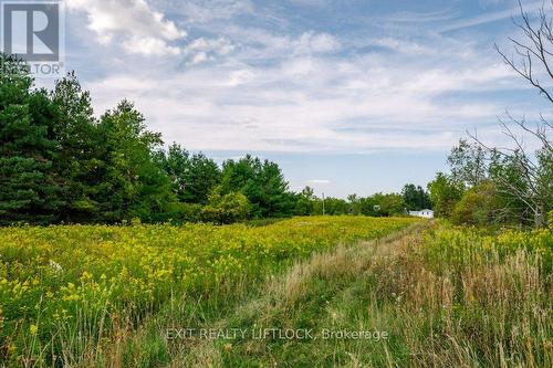 194 County Rd 10, Cavan Monaghan (Cavan Twp), ON - Outdoor With View