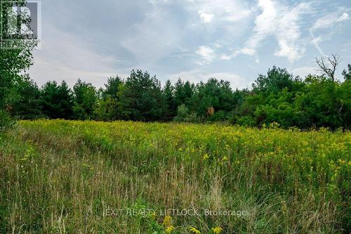194 County Rd 10, Cavan Monaghan (Cavan Twp), ON - Outdoor