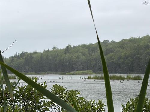 0 Southside River Denys Rd, Valley Mills, NS 