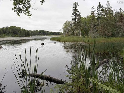 0 Southside River Denys Rd, Valley Mills, NS 