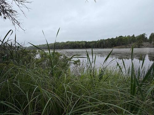 0 Southside River Denys Rd, Valley Mills, NS 