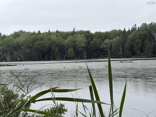 0 Southside River Denys Rd, Valley Mills, NS 