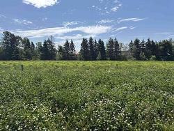 Lot 191B Lucy Crescent  Charlottetown, PE C1C 0S4