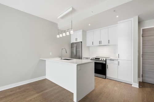 Cuisine - 319B-1400 Rue Ottawa, Montréal (Le Sud-Ouest), QC - Indoor Photo Showing Kitchen With Upgraded Kitchen