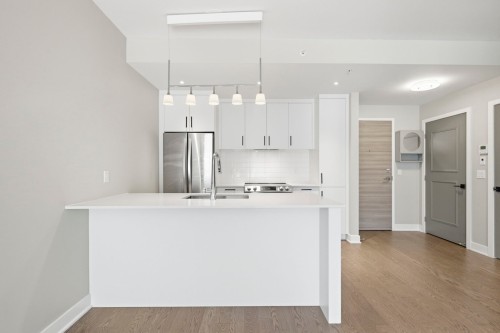 Cuisine - 319B-1400 Rue Ottawa, Montréal (Le Sud-Ouest), QC - Indoor Photo Showing Kitchen With Double Sink