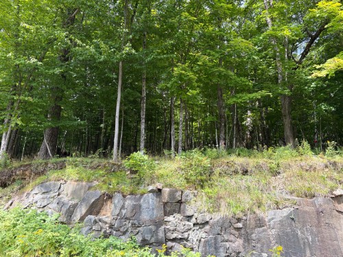 Autre - 7 Allée Robert, Mont-Tremblant, QC 