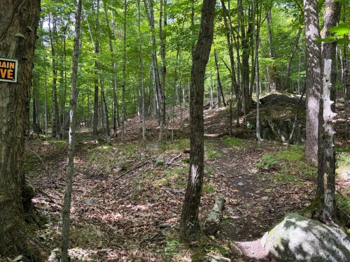 Autre - 7 Allée Robert, Mont-Tremblant, QC 