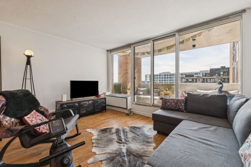 Salon - 909-285 Rue Laurier, Gatineau (Hull), QC - Indoor Photo Showing Living Room