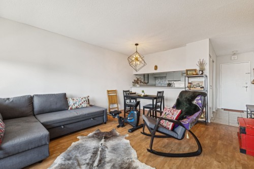Salon - 909-285 Rue Laurier, Gatineau (Hull), QC - Indoor Photo Showing Living Room