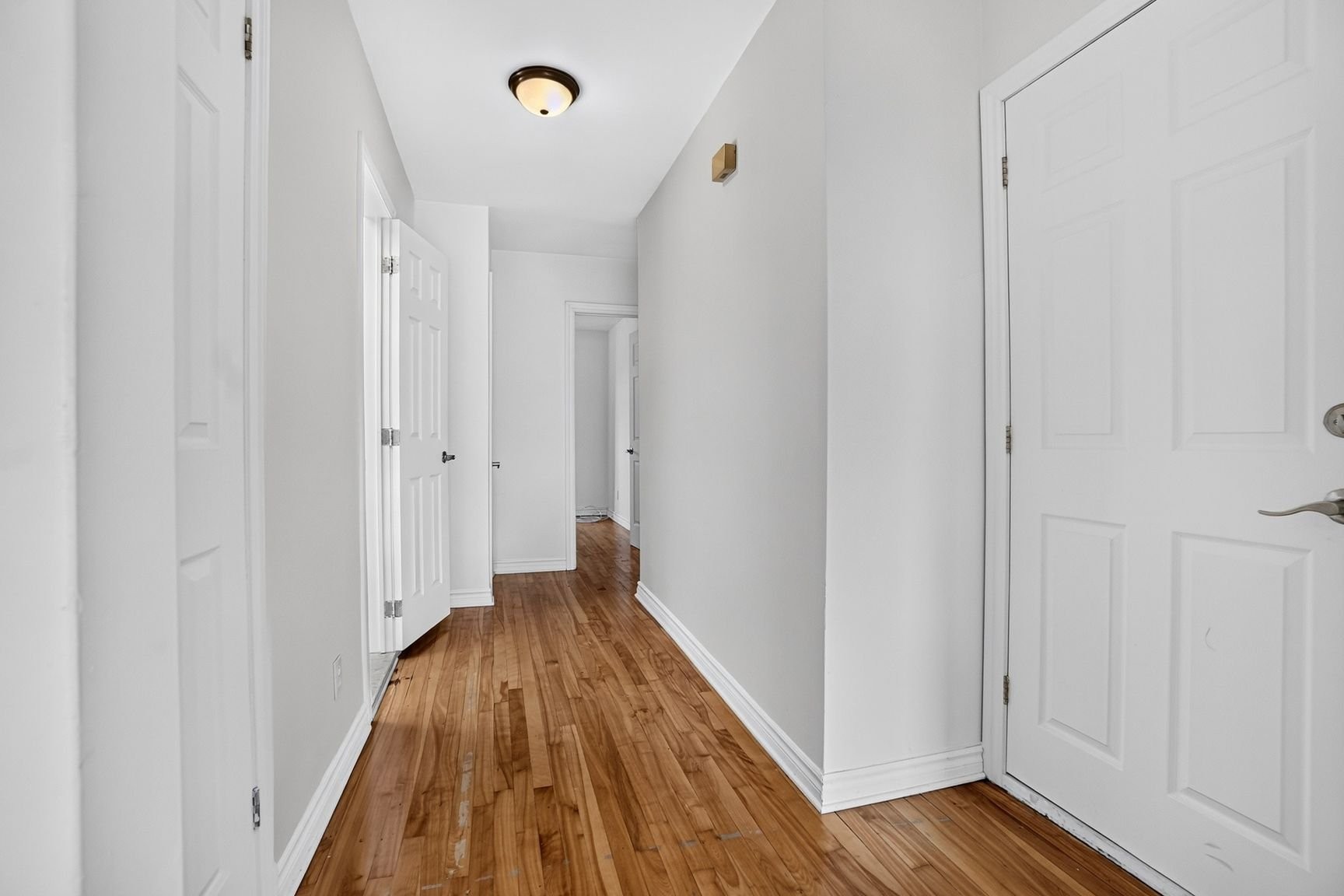 11809 Rue Alexandre Lacoste — photo 2