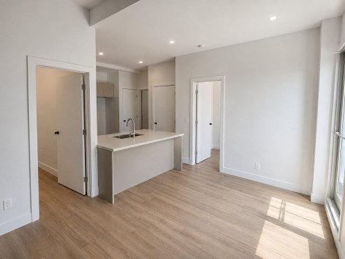 Living Room - 5909 Av. De Lorimier, Montréal (Rosemont/La Petite-Patrie), QC - Indoor