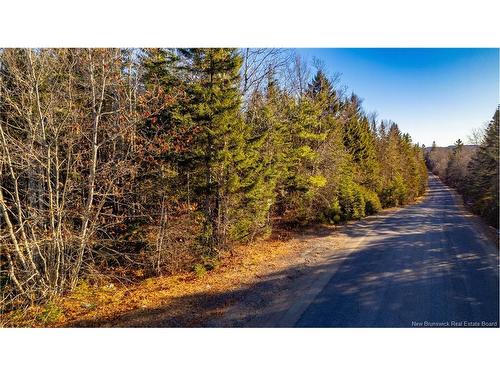 0 Boyd/Clarence Ridge Rd, Rollingdam, NB 