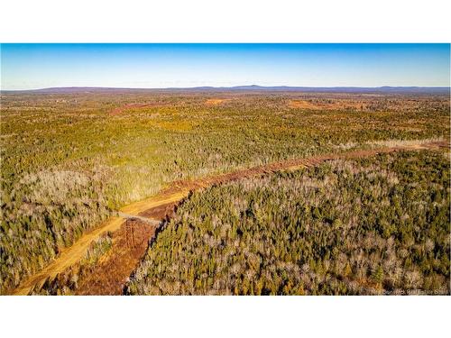 0 Boyd/Clarence Ridge Rd, Rollingdam, NB 