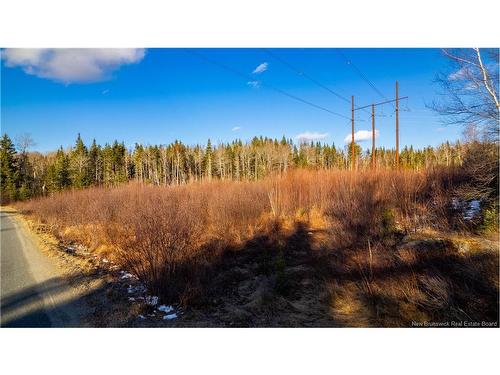 0 Boyd/Clarence Ridge Rd, Rollingdam, NB 